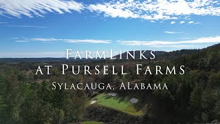 FarmLinks at Pursell Farms  Front 9 [upl. by Conny]