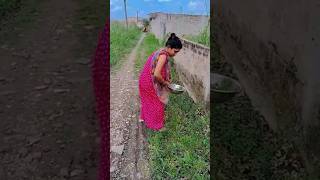 Mahlon Ki Rani song music funny love hindisong 😛😛 [upl. by Ycnaf50]