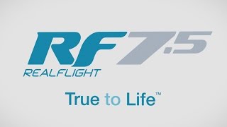 Spotlight RealFlight RF75 RC Flight Simulator [upl. by Rekoob]