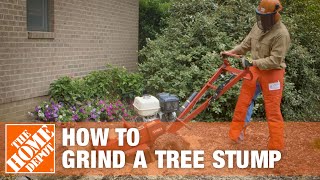 How To Grind A Tree Stump  The Home Depot [upl. by Ivanah]