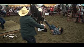 Se cae del caballo bailando en la competencia de caballos bailadores [upl. by Lichtenfeld250]