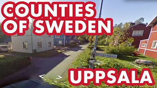 I found Turkey Turkiet in Sweden  Swedish Counties  GeoGuessr [upl. by Annahvas279]