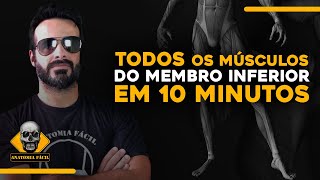 APRENDA TODOS OS MÚSCULOS DO MEMBRO INFERIOR EM 10 MINUTOS [upl. by Vevine126]