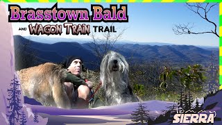 Brasstown Bald amp the Wagon Train Trail [upl. by Ahsiet]