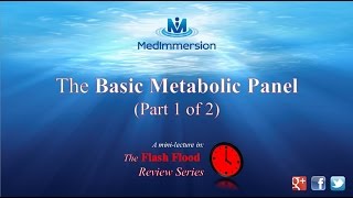 Comprehensive Metabolic Panel A Detailed Explanation [upl. by Eseryt281]