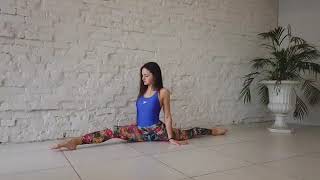 Best Stretches for Back Flexibility contortionist Contortion [upl. by Otineb]