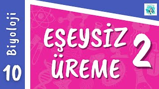 Biyoloji 10Sınıf  Eşeysiz Üreme 2 [upl. by Annai]