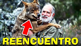 NO VIERON a sus DUEÑOS por AÑOS  CONMOVEDOR video de REENCUENTRO de animales CON sus DUEÑOS [upl. by Mckay]