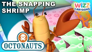 Octonauts  The Snapping Shrimp 🦐🦀  S1EP15 Full Episode  WizzCartoons [upl. by Asilehs]