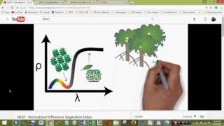 NDVI calculation in Erdas Imagine Normalized Difference Vegetation Index [upl. by Ho]