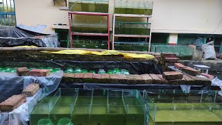 Learn Why My new farm tank setup is on the Rise [upl. by Amluz970]