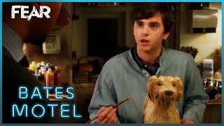 Norman Is Released  Bates Motel [upl. by Belsky713]