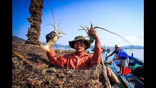 Lobster farming in Vietnams sea [upl. by Walsh]