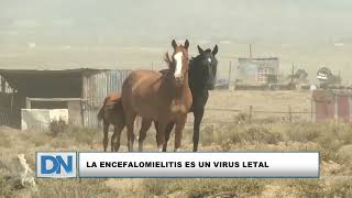 La encefalomielitis es un virus letal [upl. by Haimehen430]