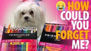 The Forgotten PRISMACOLOR Pencils Prismacolor Junior Review [upl. by Fanestil]