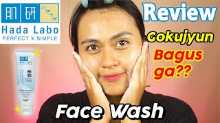 Review HADA LABO Gokujyun Ultimate Moisturizing Face Wash  Risa Florendo [upl. by Eiuqcaj]