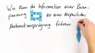 TRANSKRIPTION UND TRANSLATION  VOM GEN ZUM PROTEIN  Biologie  Genetik und Entwicklungsbiologie [upl. by Eam]