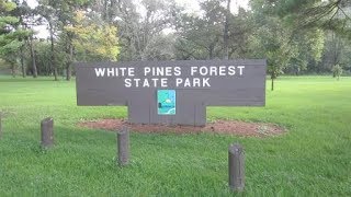 White Pines Camping August 2018 [upl. by Nicky]