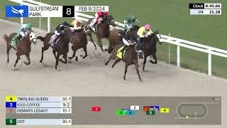 Gulfstream Park Carrera 8  8 de Febrero 2024 [upl. by Ainatnas]