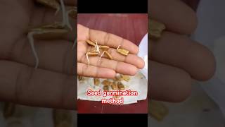 Easy seed germination method gardeningtips nature gardening agriculture [upl. by Eicrad447]