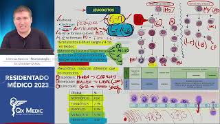 Reumatología  Ciencia Básicas [upl. by Noteek]