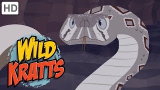 Wild Kratts 🦡🐍 Out for the Hunt  Kids Videos [upl. by Yhotmit]