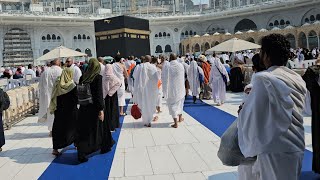 Kaaba Live 🔴 Today  14 November 2024  Tawaf e Kaaba Masjid Al Haram  Visiting KAABA Sharif [upl. by Anabal]