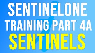 SentinelOne Training  Part 4a  SENTINELS [upl. by Tamaru]