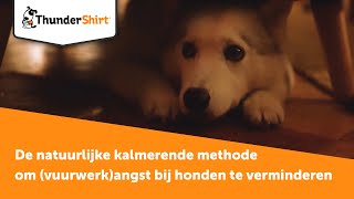 ThunderShirt  De natuurlijke kalmerende methode om vuurwerkangst bij honden te verminderen [upl. by Home183]