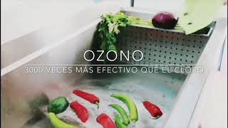 DESINFECCIÓN DE VEGETALES CON OZONO [upl. by Sabian]