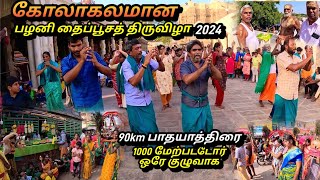 கட்டுக்கடங்காத கூட்டம்  பழனி முருகன் தைப்பூசத் திருவிழா 2024  90km பாதயாத்திரை  FampT TAMIL [upl. by Eitsirhc]