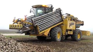 Ropa euroMaus 3  sugar beets loader wwwplakyslt [upl. by Dimitri]