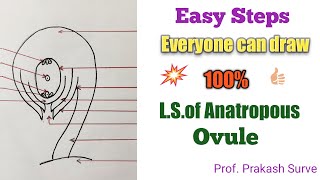 How to draw LSOf Anatropus Ovule Draw Easily Step by Step By Prof Prakash Surve Moderator [upl. by Nyliram]