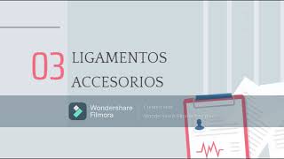 Articulación sacroilíaca del equino  Valerie Arévalo  Sección A [upl. by Alleen]