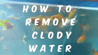 How to remove cloudy water in aquarium in Hindi [upl. by Aramot703]