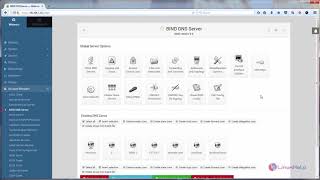How to install and configure Bind DNS on Webmin [upl. by Nattirb]