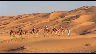 Adventure Emirates Evening Desert Safari Experience  Abu Dhabi [upl. by Josi]