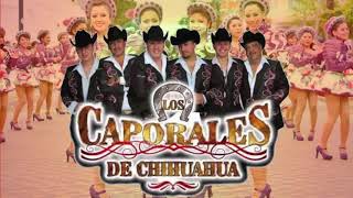 Los Caporales de Chihuahua Mix  Puros Corridos Mix [upl. by Dumah]