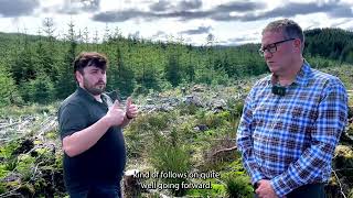 How to Manage a UK Forest Sustainably The Benefits and Challenges [upl. by Eeruhs]