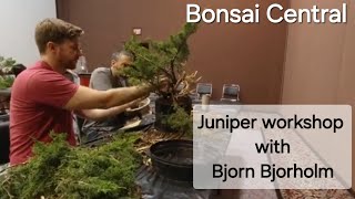 Bjorn Bjorholm large junipers workshop Bonsai Central [upl. by Aihtnamas47]