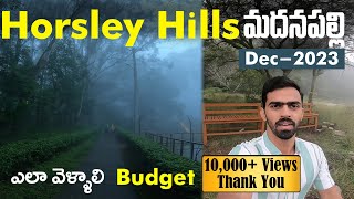 Horsley Hills in Winter Andhra Ooty tour plan Telugu Hotels Places to visit Budget BusTrain [upl. by Latoyia]