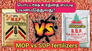 பொட்டாஷ் MOP vs SOP உரங்களின் பயன்கள்  MOP VS SOP FERTILIZER  TAMIL  vivasayapokkisham [upl. by Gilroy]