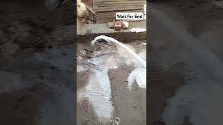 Termite Proofing Spray At DHA Phase 5 fyp trending fy fyp work support viralposts [upl. by Curson]