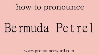 Bermuda Petrel How to pronounce Bermuda Petrel in english correctStart with B Learn from me [upl. by Kila]