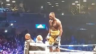 DEONTAY WILDER VS BERMANE STIVERNE FULL FIGHT HD  VIEW FROM THE PUBLIC [upl. by Cariotta]