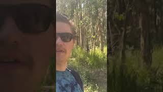 Walking through Coombabah lake conservation Park Gold Coast Australia nature naturelovers [upl. by Pheni]