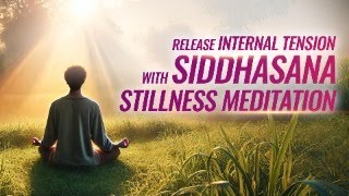 Release Internal Tension with Siddhasana Meditation siddhasana siddheshwarthepowerofsoul [upl. by Addis]