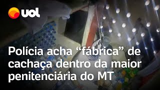 Polícia acha fábrica de cachaça dentro da maior penitenciária de MT veja vídeo [upl. by Anais]