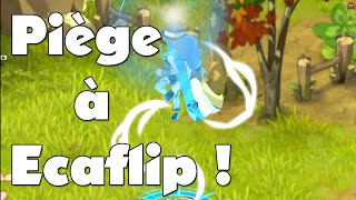 Dofus  PvP 1vs1 Eliotrope eau 200 8  Pièger les Ecaflip [upl. by Cohleen423]