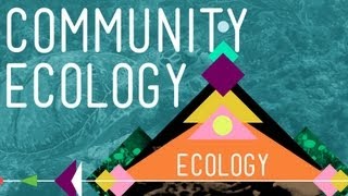 Community Ecology Feel the Love  Crash Course Ecology 4 [upl. by Ahsenor857]